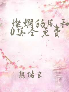 灿烂的风和海40集全免费