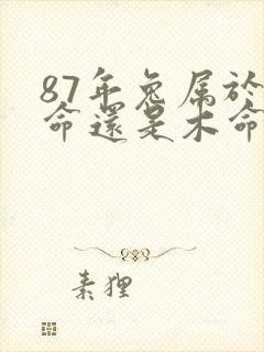 87年兔属于火命还是木命