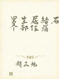 男生尿结石是哪个部位痛