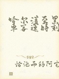 哈尔滨至黑河汽车客运时刻表