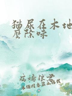 猫尿在木地板怎么除味