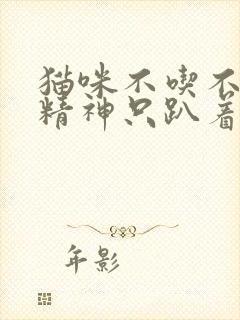 猫咪不吃不喝没精神只趴着呼吸急促