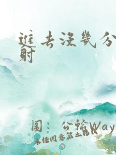 进去没几分钟就射