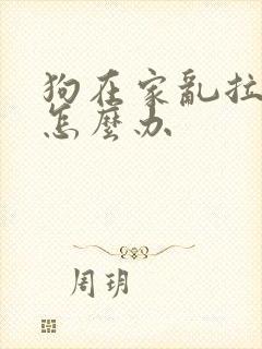 狗在家乱拉乱尿怎么办