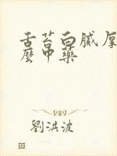 舌苔白腻厚吃什么中药