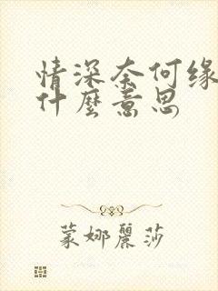 情深奈何缘浅是什么意思