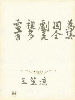 电视剧因为爱情有多美全集免费观看