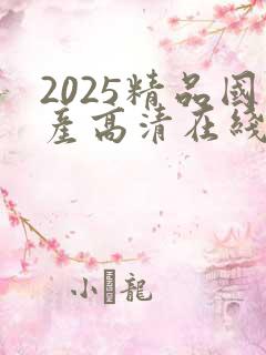 2025精品国产高清在线