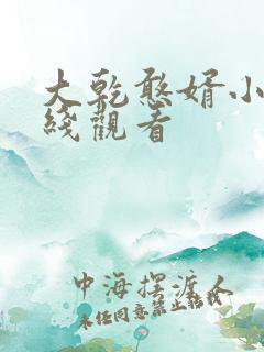 大乾憨婿小说在线观看