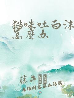 猫咪吐白沫拉稀怎么办