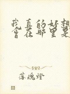 我真的好想你你会在哪里是什么歌