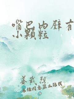 嘴巴内壁有很多小颗粒