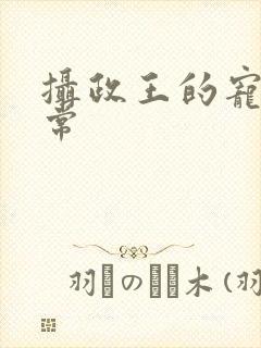 摄政王的宠妻日常