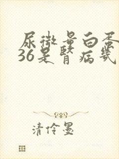 尿微量白蛋白136是肾病几期