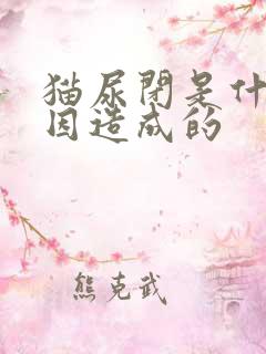 猫尿闭是什么原因造成的