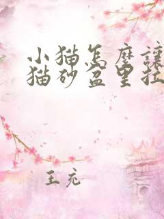 小猫怎么让它在猫砂盆里拉屎