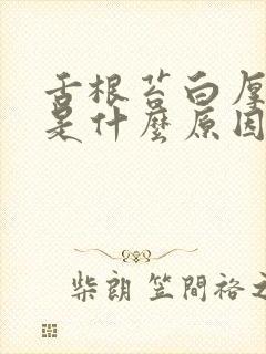 舌根苔白厚腻黄是什么原因