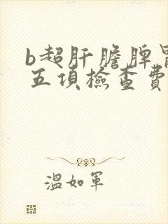 b超肝胆脾胃肾五项检查费用多少