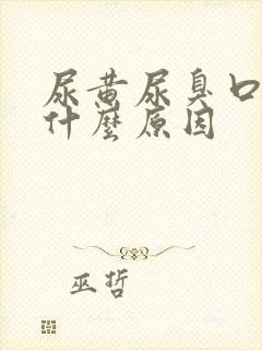 尿黄尿臭口苦是什么原因