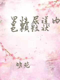 男性尿道内有白色颗粒状