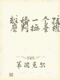 离婚一个孩子怎么判抚养权