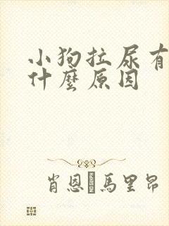 小狗拉尿有血是什么原因