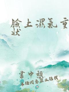 脸上湿气重的症状