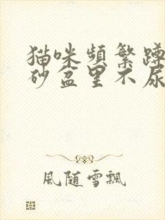 猫咪频繁蹲在猫砂盆里不尿