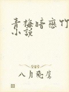 青梅暗恋竹马的小说