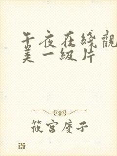 午夜在线观看欧美一级片