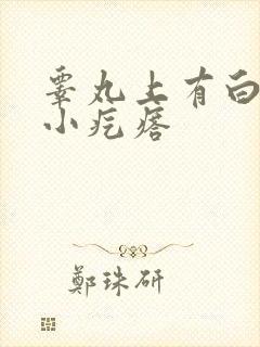 睾丸上有白色硬小疙瘩