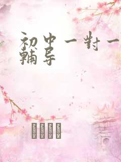 初中一对一提分辅导