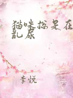 猫咪总是在家里乱尿