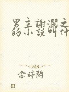 男主谢澜之秦姝的小说叫什么