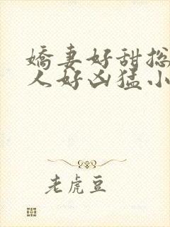 娇妻好甜总裁大人好凶猛小说