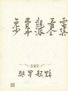 免费观看电视剧少年派全集