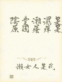 阴囊潮湿是什么原因瘙痒是怎么回事