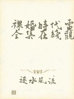 裸婚时代电视剧全集在线观看