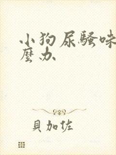 小狗尿骚味重怎么办