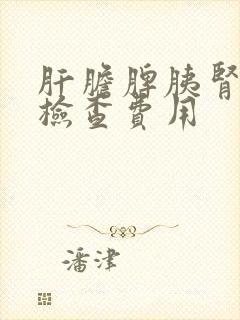 肝胆脾胰肾彩超检查费用