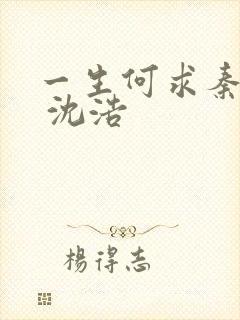 一生何求秦菲雪 沈浩