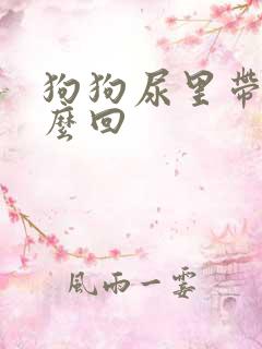 狗狗尿里带血怎么回