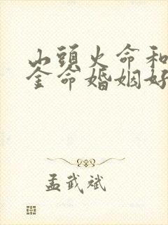 山头火命和剑锋金命婚姻好吗