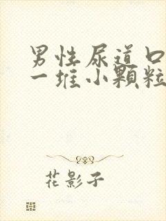 男性尿道口起了一堆小颗粒