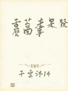 舌苔老是发黄怎么回事