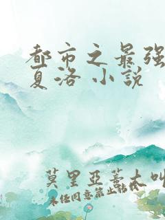 都市之最强狂兵夏洛 小说