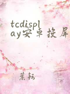tcdisplay安卓投屏大师