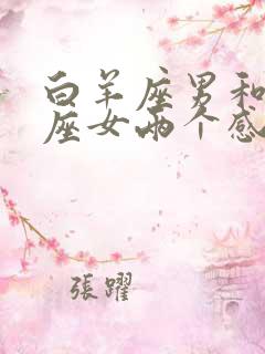 白羊座男和处女座女两个感情如何