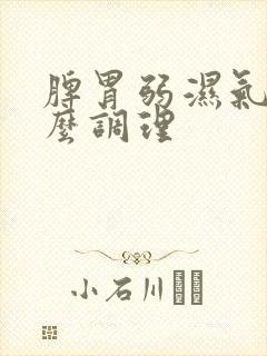 脾胃弱湿气重怎么调理