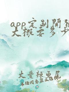 app定制开发大概要多少钱